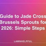 Guide to Jade Cross Brussels Sprouts for 2026: Simple Steps