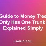 Guide to Money Tree Only Has One Trunk: Explained Simply