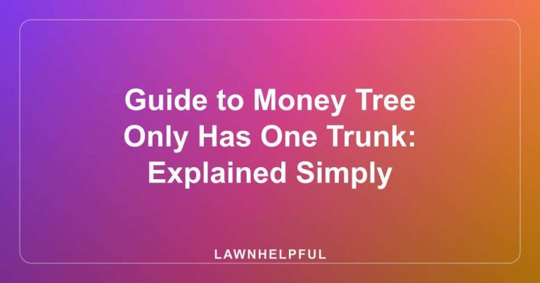 Guide to Money Tree Only Has One Trunk: Explained Simply