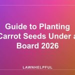 Guide to Planting Carrot Seeds Under a Board 2026
