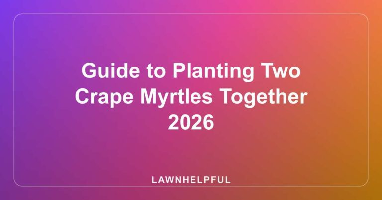 Guide to Planting Two Crape Myrtles Together 2026