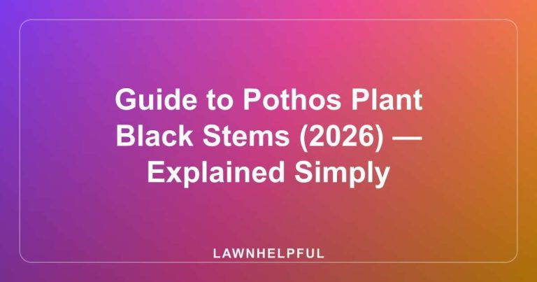 Guide to Pothos Plant Black Stems (2026) — Explained Simply