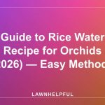 Guide to Rice Water Recipe for Orchids (2026) — Easy Methods