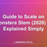 Guide to Scale on Monstera Stem (2026) — Explained Simply