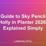Guide to Sky Pencil Holly in Planter 2026: Explained Simply