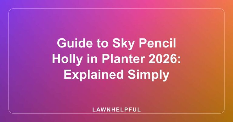 Guide to Sky Pencil Holly in Planter 2026: Explained Simply