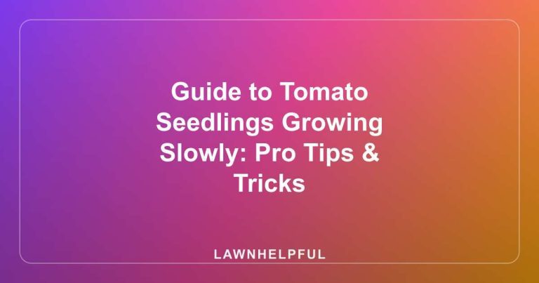 Guide to Tomato Seedlings Growing Slowly: Pro Tips & Tricks