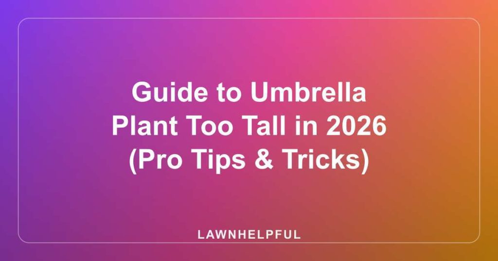 Guide to Umbrella Plant Too Tall in 2026 (Pro Tips & Tricks)