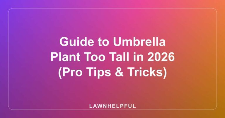Guide to Umbrella Plant Too Tall in 2026 (Pro Tips & Tricks)