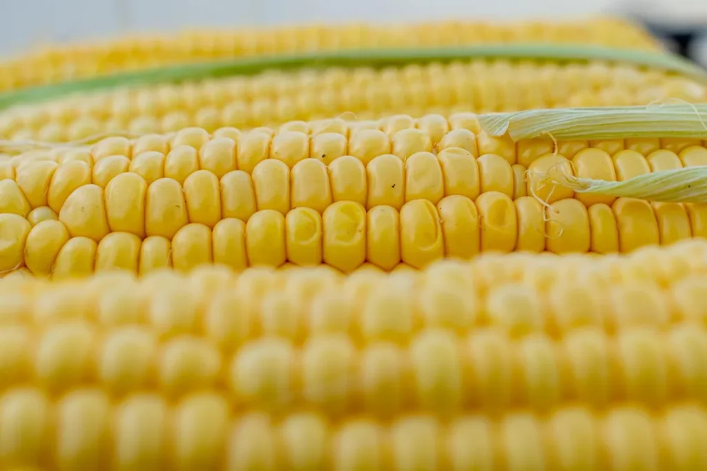 home made corn planter