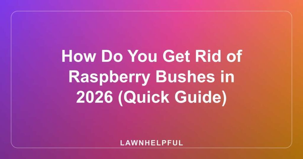 How Do You Get Rid of Raspberry Bushes in 2026 (Quick Guide)