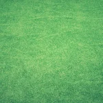 how to compost sod