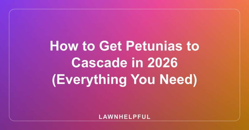 How to Get Petunias to Cascade in 2026 (Everything You Need)