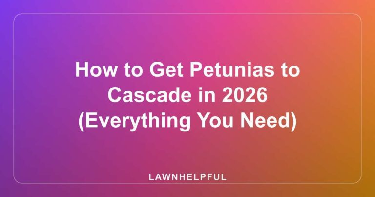 How to Get Petunias to Cascade in 2026 (Everything You Need)