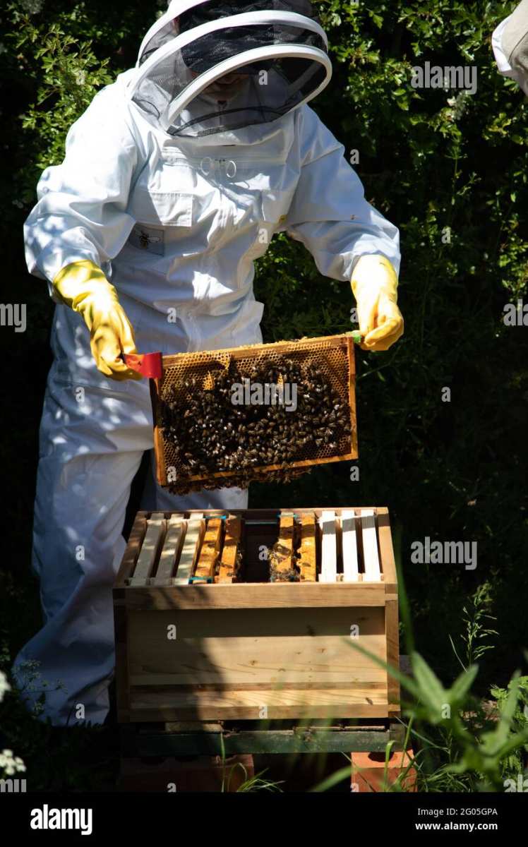 how to get the grub in the hive