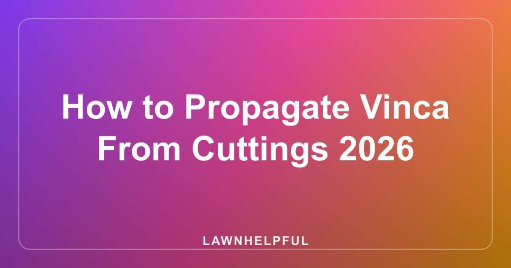 How to Propagate Vinca From Cuttings 2026