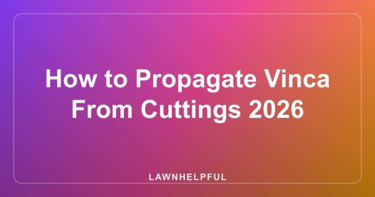 How to Propagate Vinca From Cuttings 2026