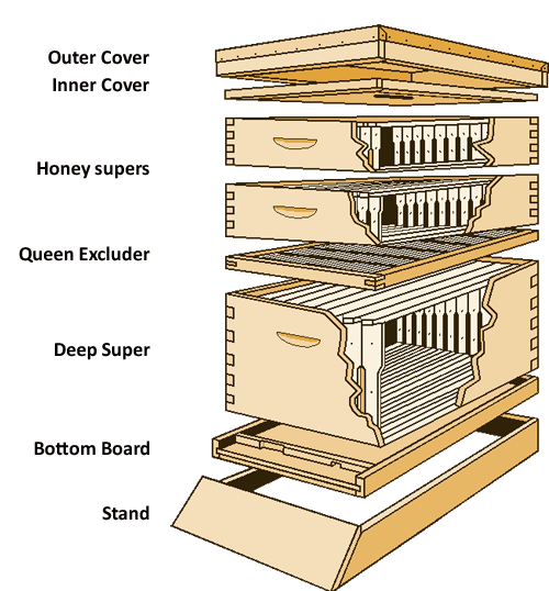 Langstroth hive super arrangement diagram