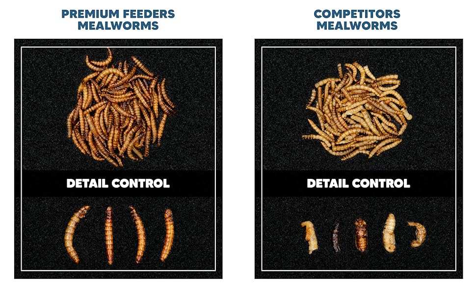 live vs dried grubs for poultry