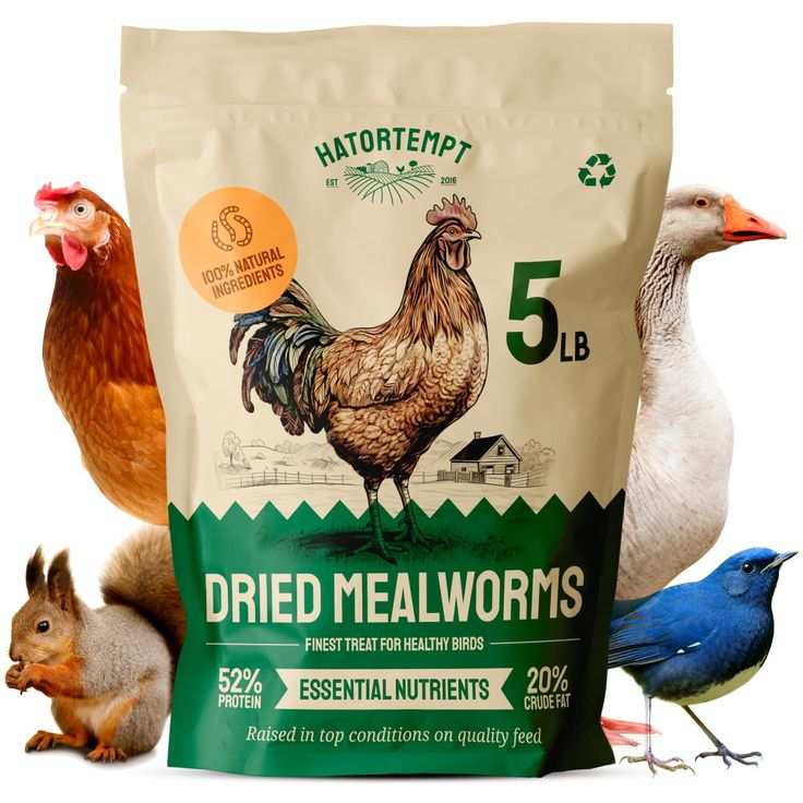 mealworms for chickens