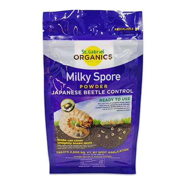 milky spore powder lawn application