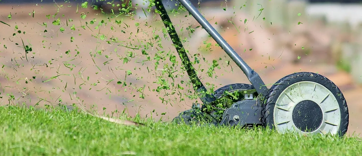 overseeding lawn after herbicide renovation