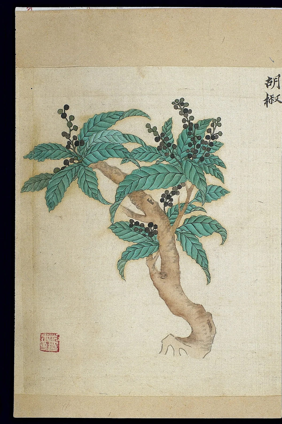 pepper leaves turning white