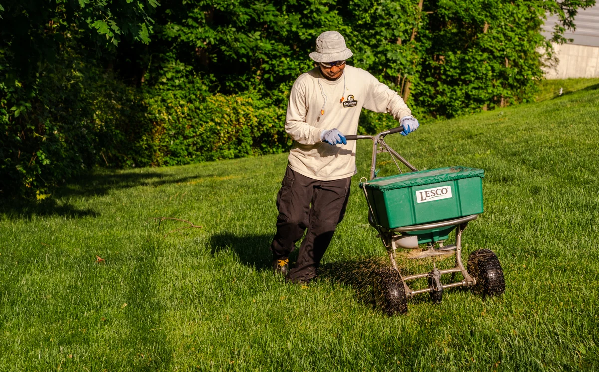 preventative grub control application spreader