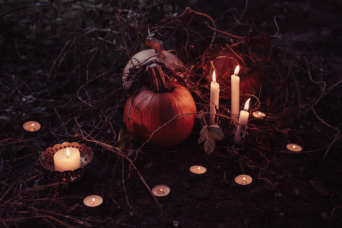 pumpkin plant temperature stress wilting