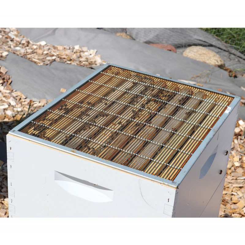 queen excluder on Langstroth hive