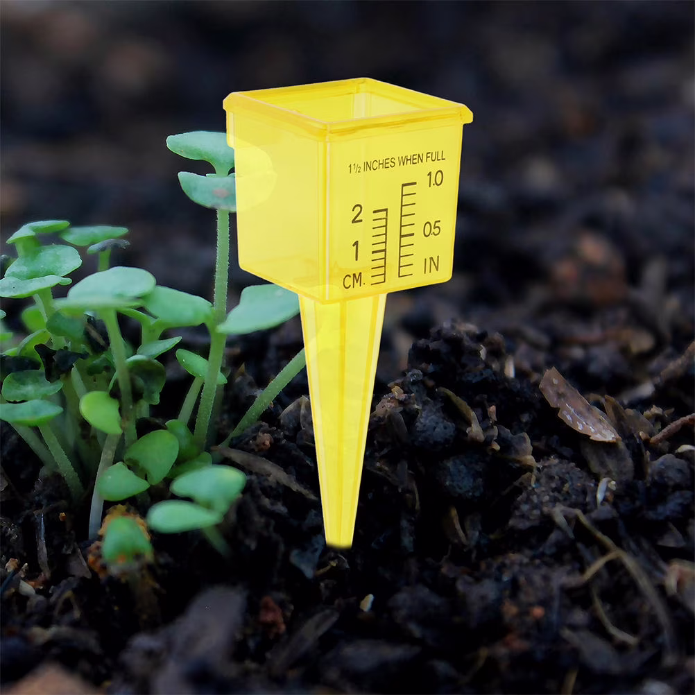 rain gauge measuring lawn irrigation