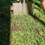 shovel cutting sod square foot