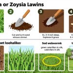 shovel test lawn grubs