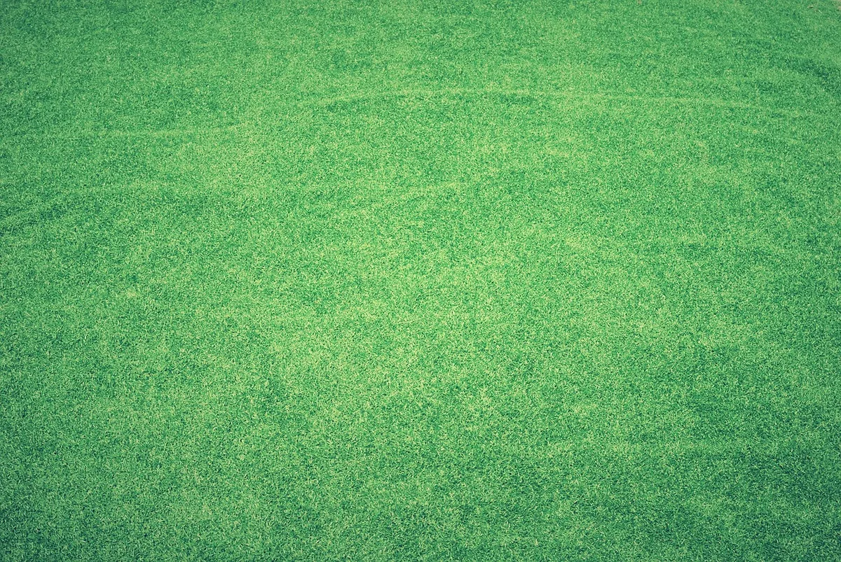 sod removal with cutter