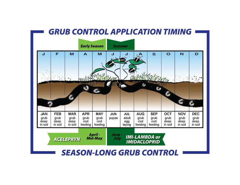 soil temperature grub activity