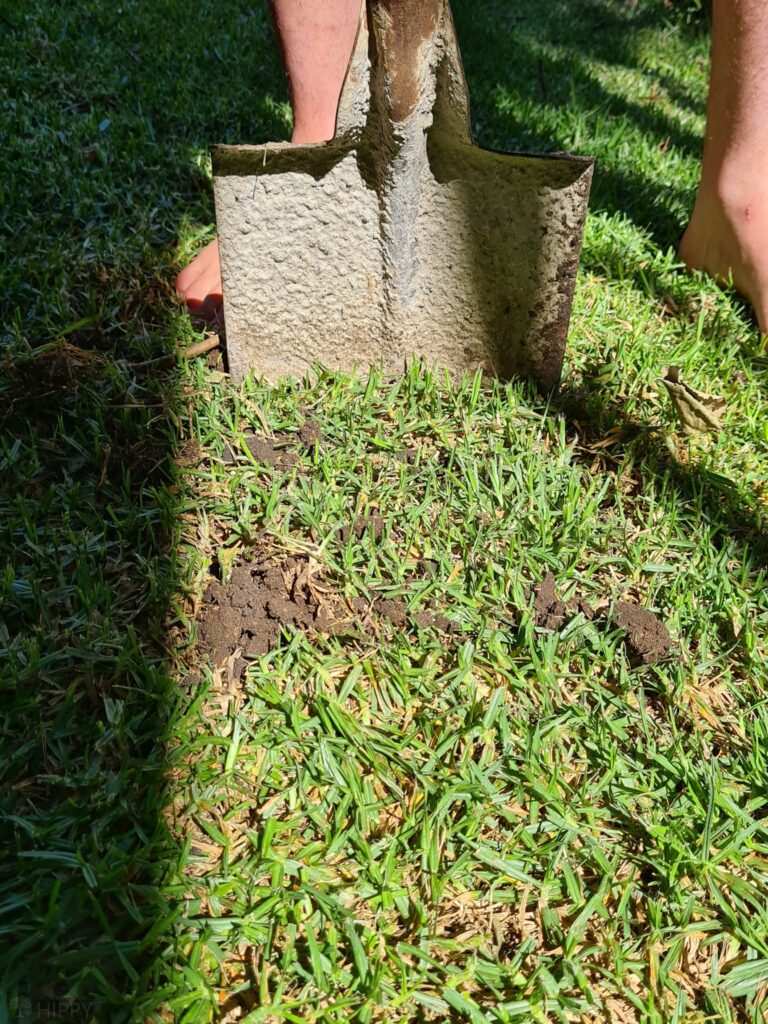 spade cutting sod square foot