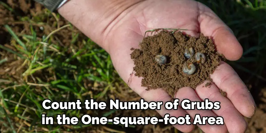 square foot grub test lawn scouting