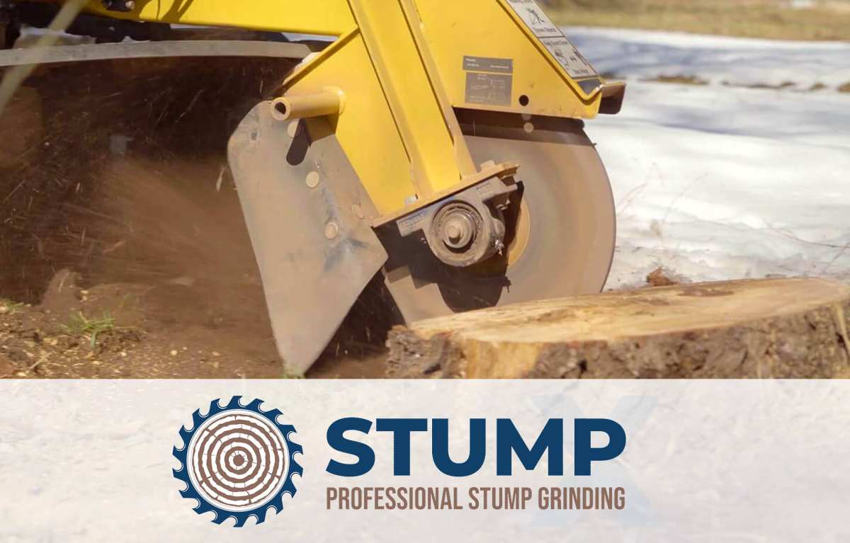 stump grinding after tree removal