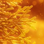 sunshine ligustrum losing leaves
