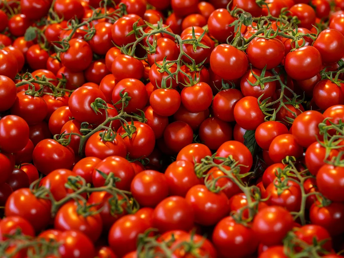 tomatoes stored stem side down on counter