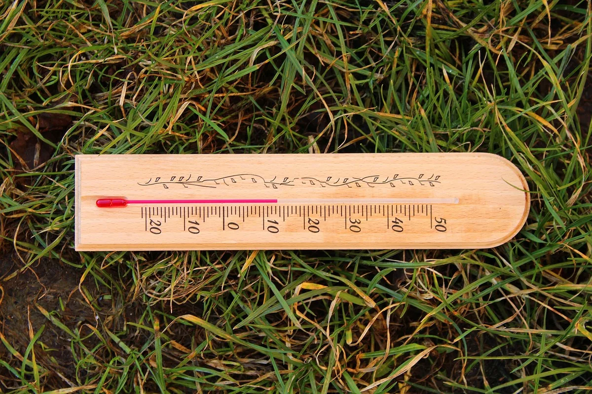 weed and feed application timing