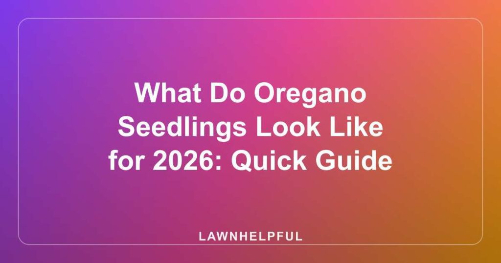 What Do Oregano Seedlings Look Like for 2026: Quick Guide