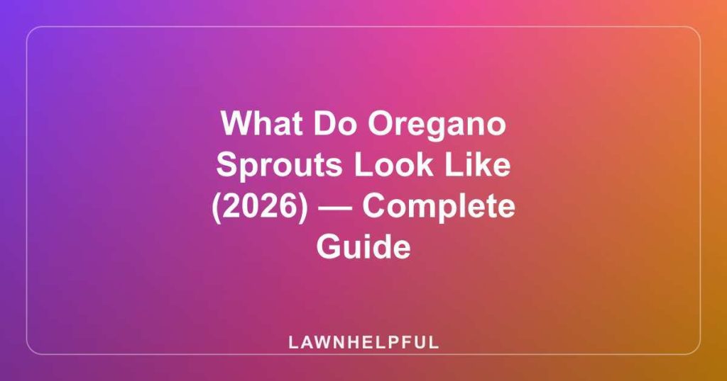 What Do Oregano Sprouts Look Like (2026) — Complete Guide