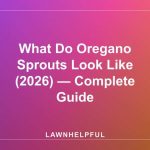 What Do Oregano Sprouts Look Like (2026) — Complete Guide