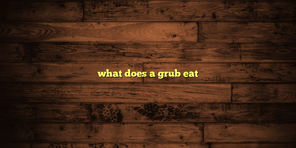 what does a grub eat