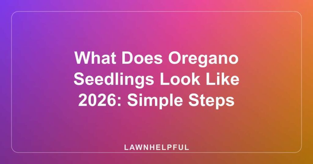 What Does Oregano Seedlings Look Like 2026: Simple Steps