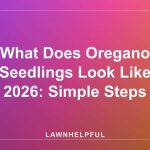 What Does Oregano Seedlings Look Like 2026: Simple Steps