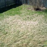when to do grub control