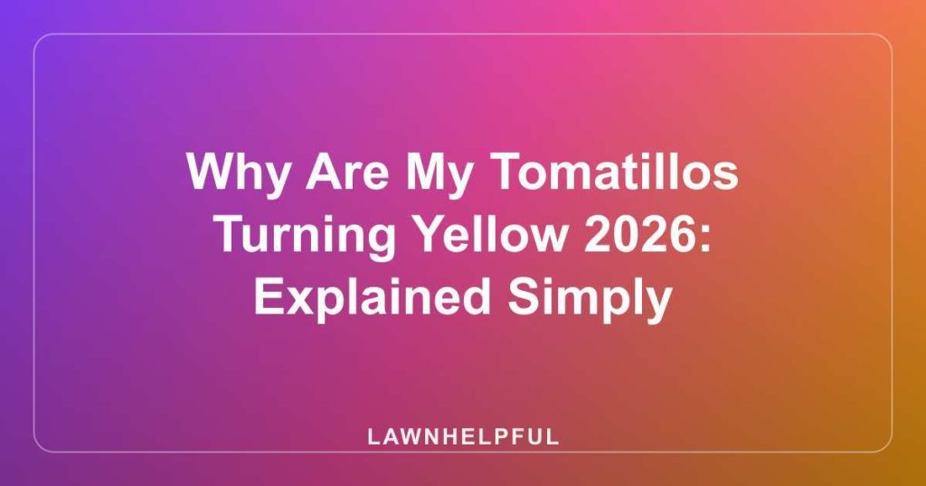 Why Are My Tomatillos Turning Yellow 2026: Explained Simply