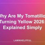 Why Are My Tomatillos Turning Yellow 2026: Explained Simply